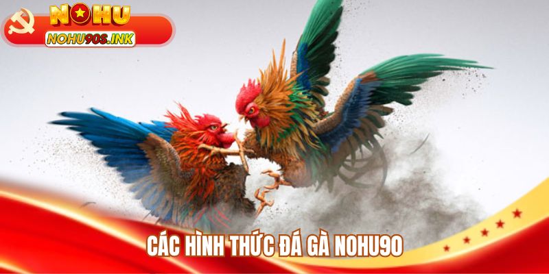 Các hình thức đá gà NOHU90